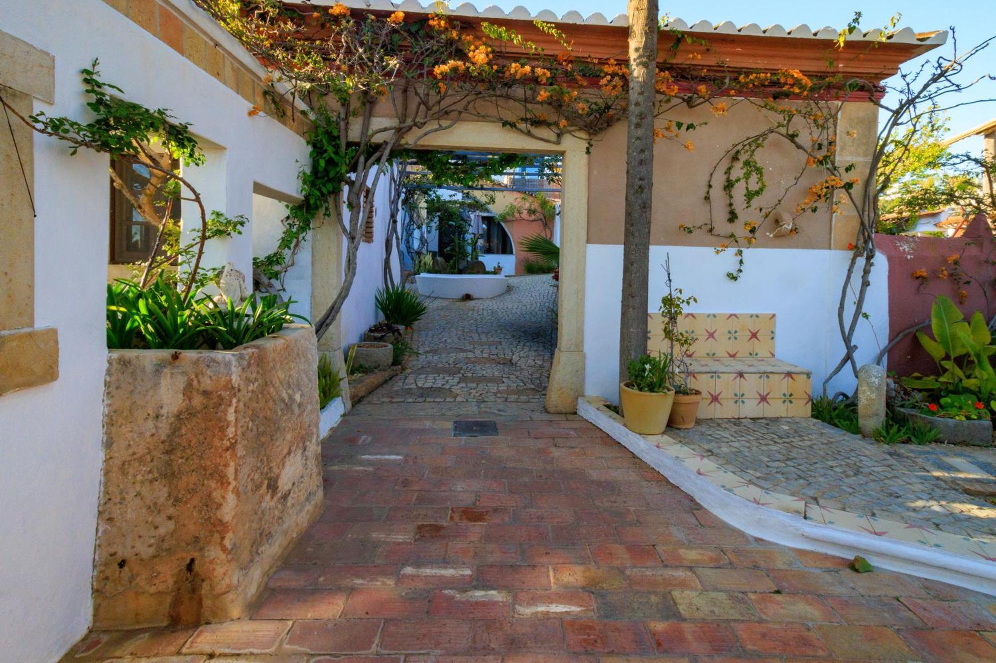 阿尔曼萨Quinta Dos Amigos公寓 外观 照片