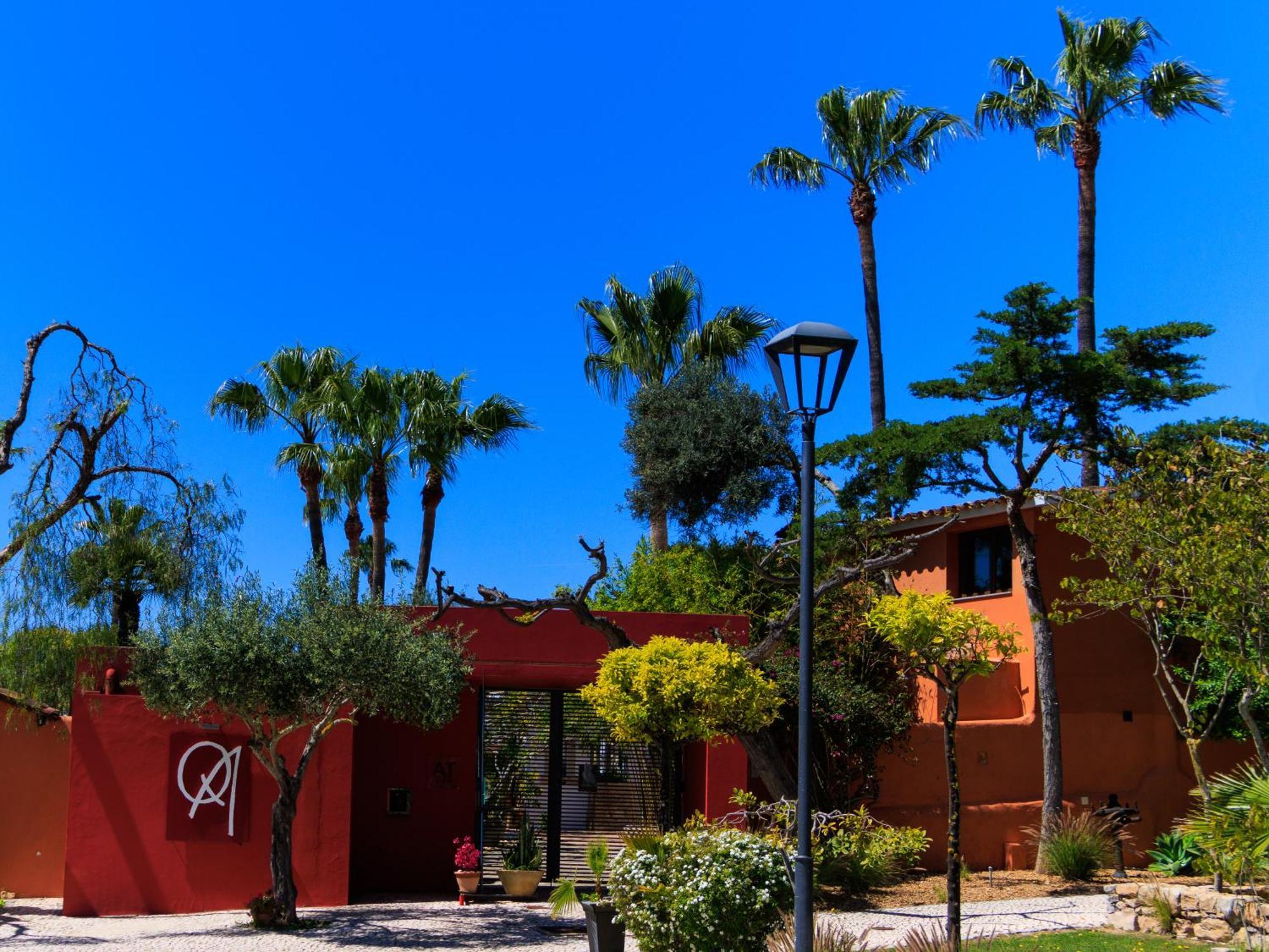 阿尔曼萨Quinta Dos Amigos公寓 外观 照片