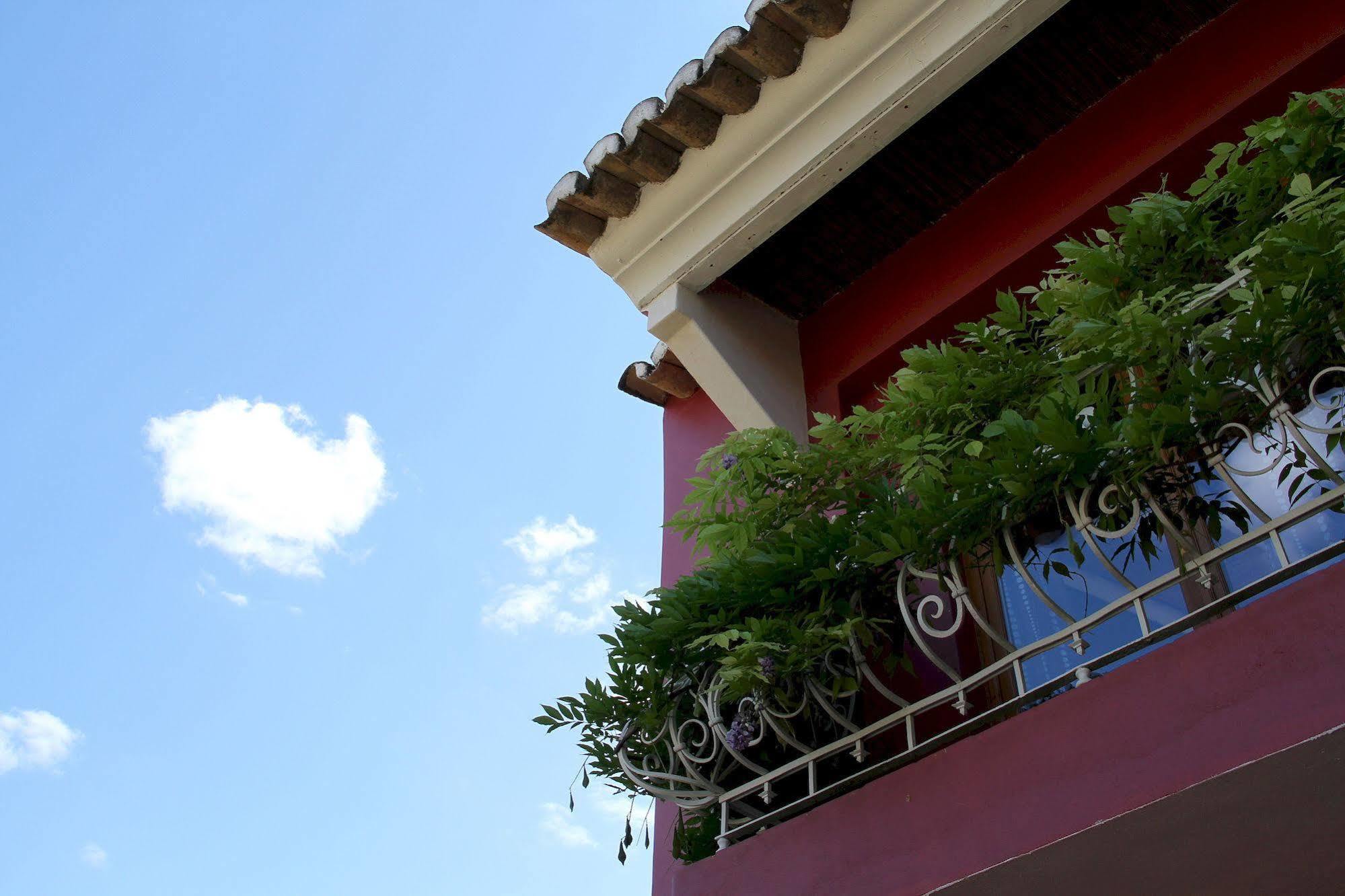 阿尔曼萨Quinta Dos Amigos公寓 外观 照片
