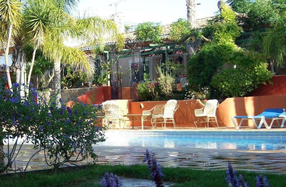 阿尔曼萨Quinta Dos Amigos公寓 外观 照片
