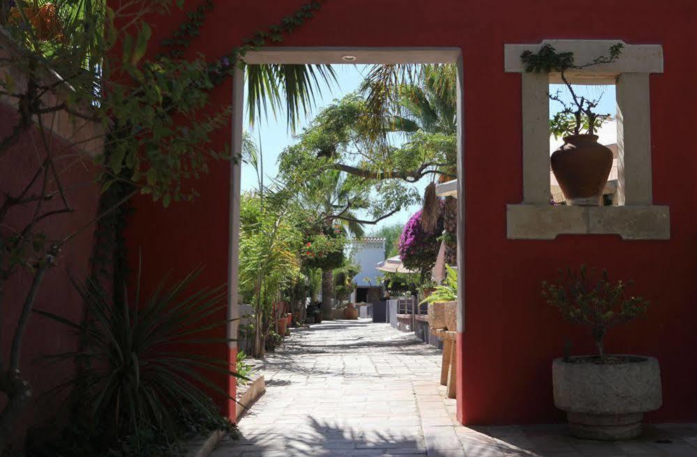 阿尔曼萨Quinta Dos Amigos公寓 外观 照片